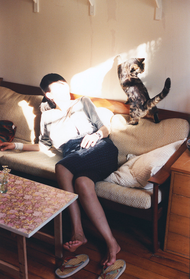 阳光下的叹息,戈贝尔巨塔之下,森林狼的绝望与篮球哲学的回归